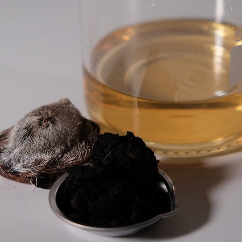 Attar, Musks & Oudhs